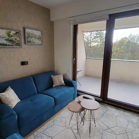 Goldview Apartment *