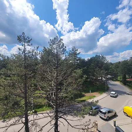 Goldview Apartament *